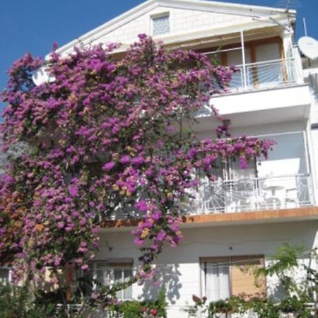 Apartman Graciela Perfect Location Gradac Gradac  Dış mekan fotoğraf