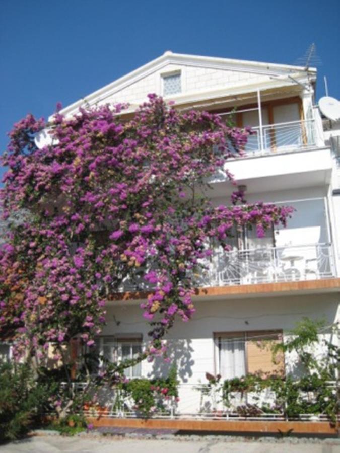 Apartman Graciela Perfect Location Gradac Gradac  Dış mekan fotoğraf