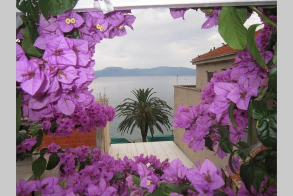 Apartman Graciela Perfect Location Gradac Gradac  Dış mekan fotoğraf